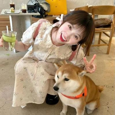 侠岚第四季